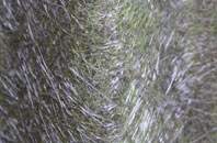 Ashmore Lake fibreglass roof work